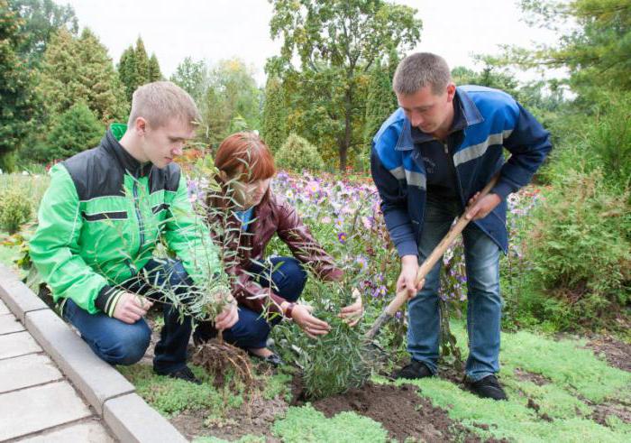 Baltarusijos žemės ūkio akademija: istorija, fakultetai ir specialybės, praleidimo lygis