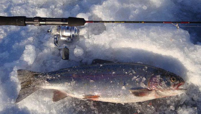 Žiemos žvejyba Karelijoje: žvejybos ypatybės