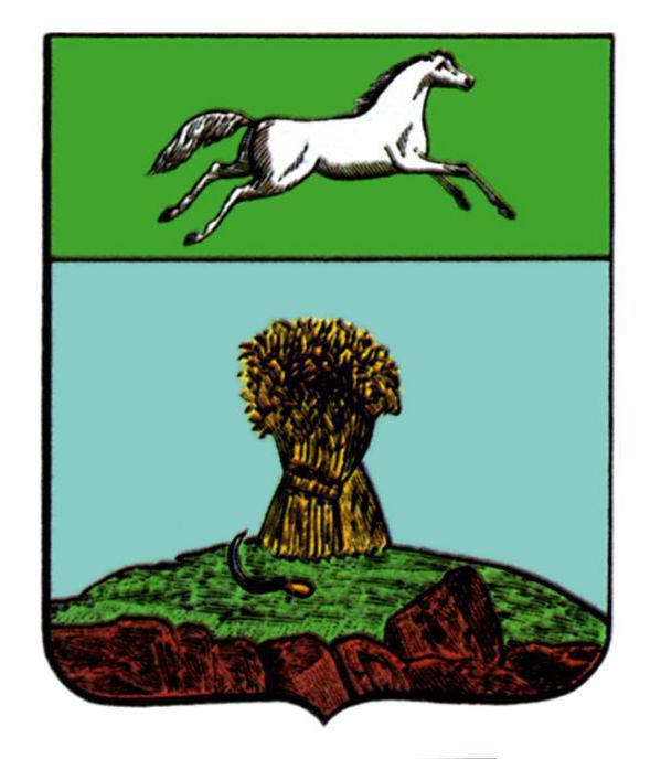 Novosibirsko srities herbas. Aprašymas ir simboliai